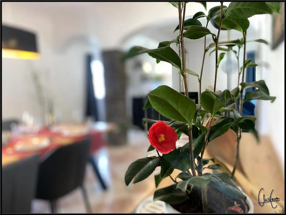 Vila Feliz Villa Albufeira